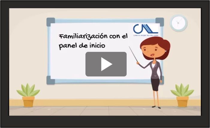 video-panel-inicio